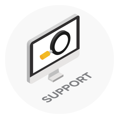 IT Project Support